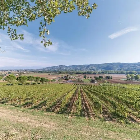 Il Vigneto Wine Villa *